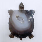 Agate turtle with druzy middle