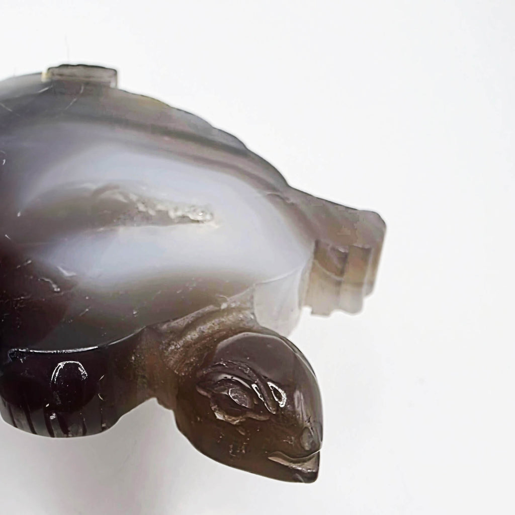 Agate turtle with druzy middle
