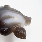 Agate turtle with druzy middle