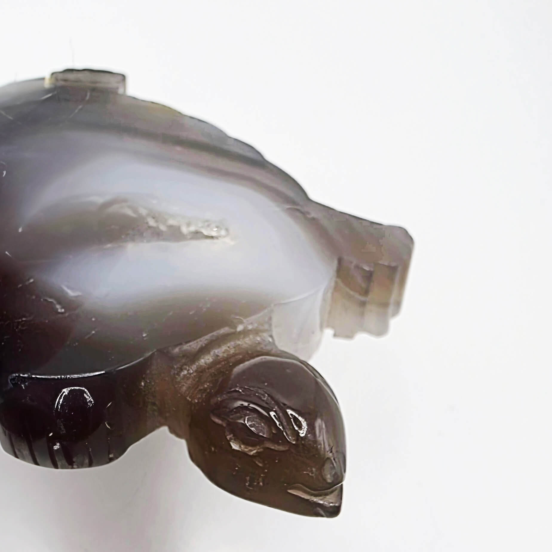 Agate turtle with druzy middle